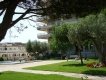 FOTO EJEMPLO de Mediterraneo