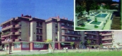 Los Arces de Los Arces
