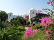 JARDINES de Torrelaguna